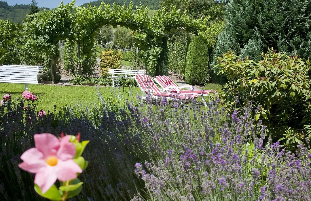Hotel Springiersbacher-Hof-1